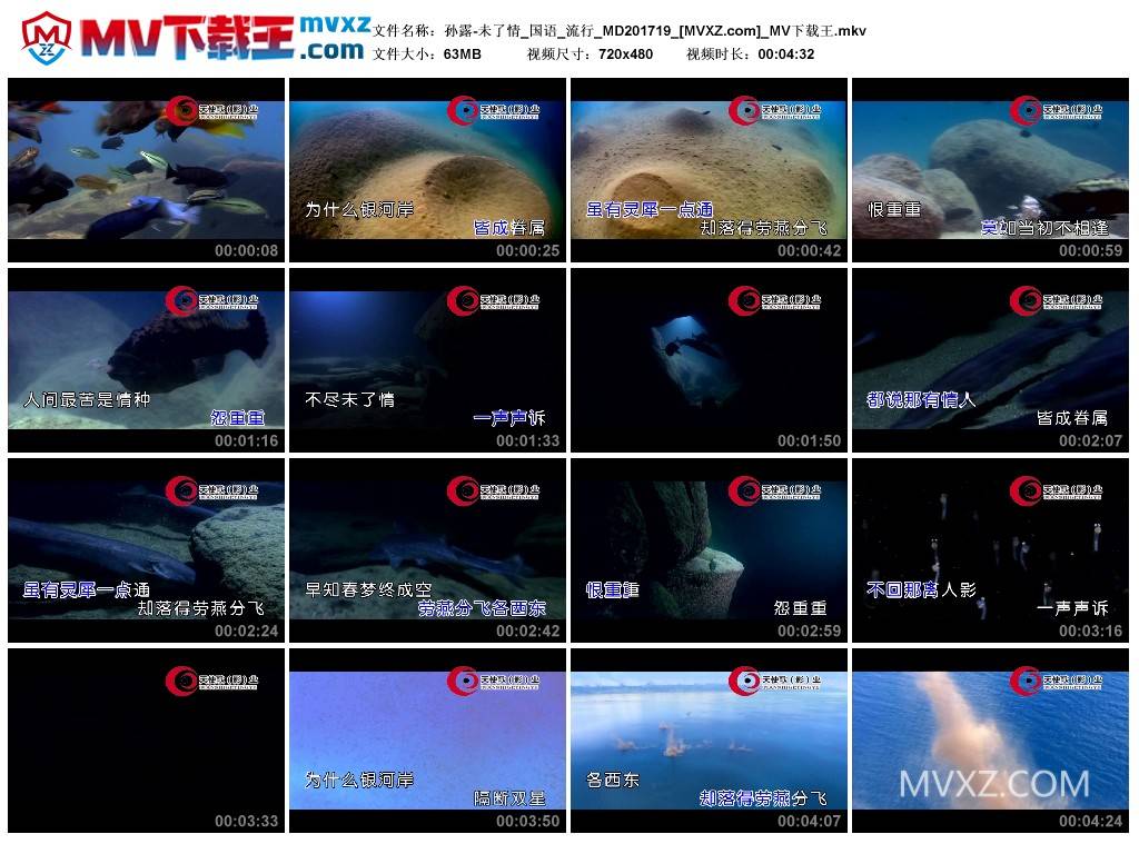 孙露-未了情_国语_流行_MD201719